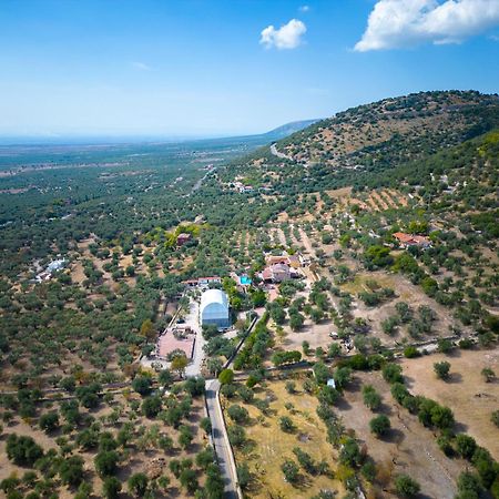 Bed and Breakfast Le Cese Сан-Джованни-Ротондо Экстерьер фото